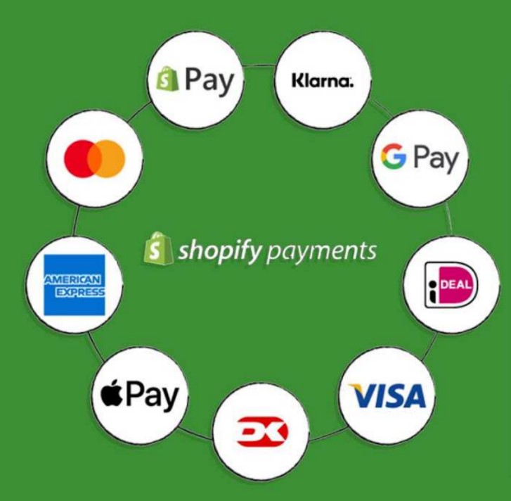 Shopify Payments wheel
