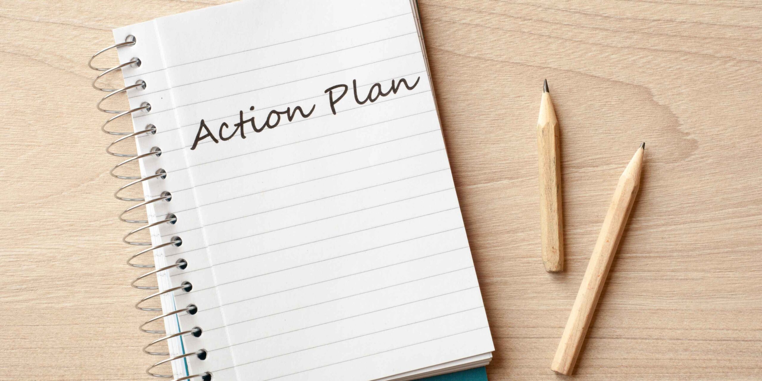 Action Plan